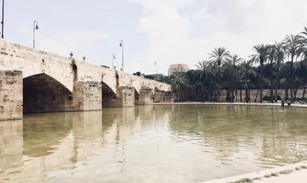 Disfruta de los extensos Jardines del Turia, un tramo de 7 kilómetros a lo largo del río Turia, que ofrece jardines, estanques y atracciones icónicas como la Ciudad de las Artes y las Ciencias.