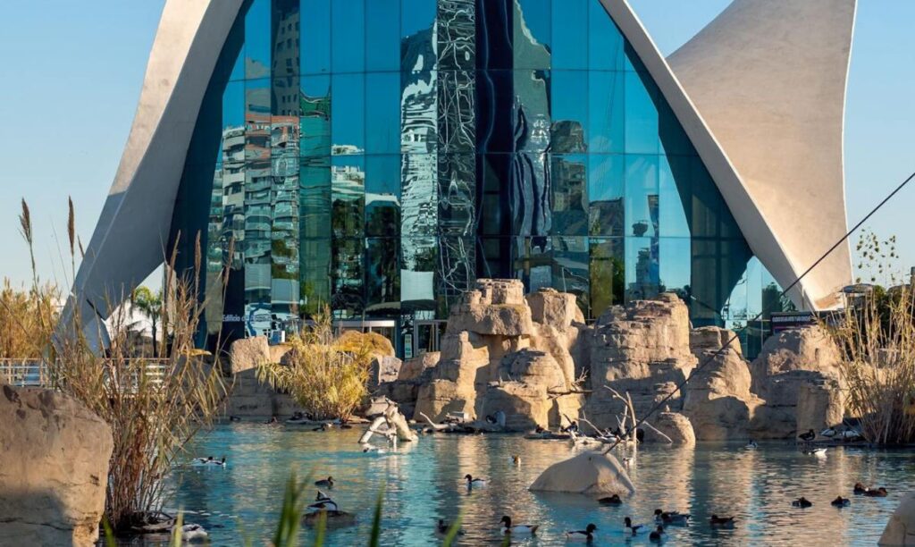 Descubre más de 45,000 especímenes marinos en Oceanogràfic, el acuario más grande de Europa, parte del impresionante complejo Ciudad de las Artes y las Ciencias